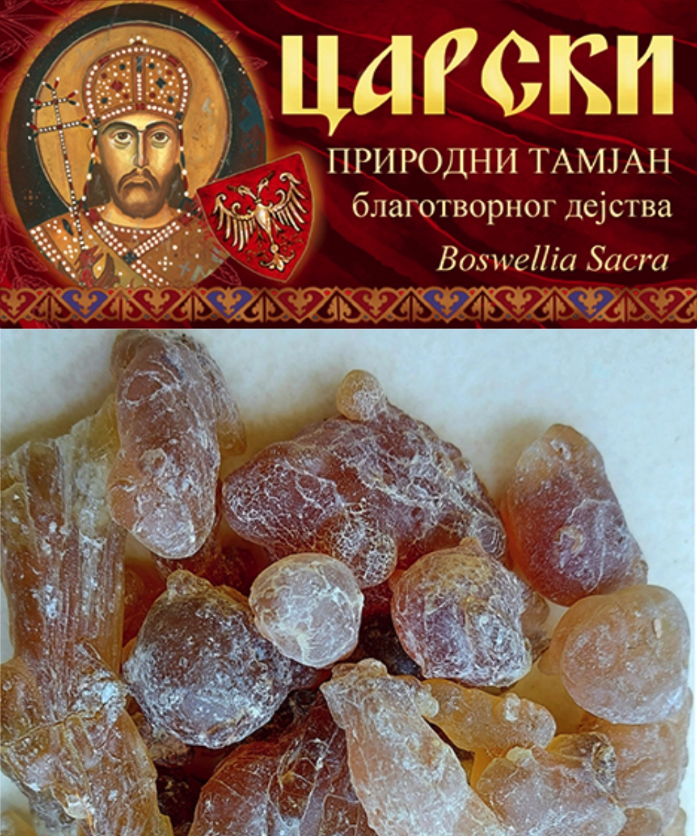 Тамјан ЦАРСКИ -Boswellia sacra - Оман