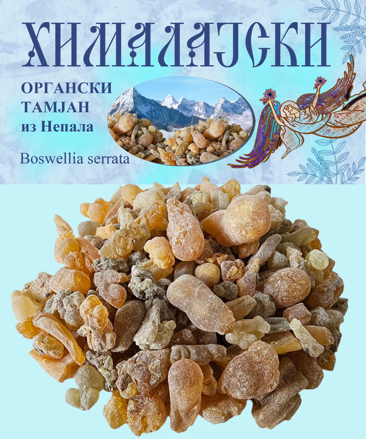 <p>Тамјан Хималајски - Boswellia serrata - Непал</p>