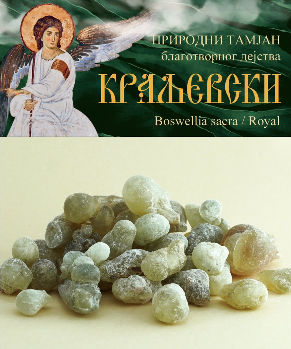 Тамјан Краљевски - Boswellia sacra - Оман 