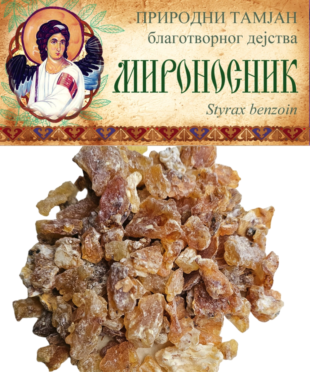 Тамјан Мироносник - Boswellia frereana - Сомалија